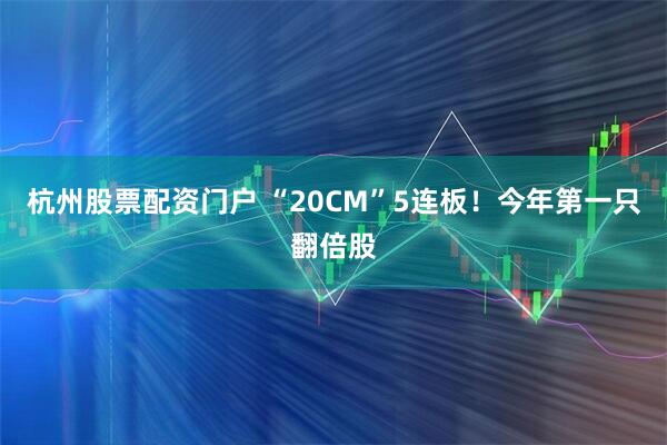 杭州股票配资门户 “20CM”5连板！今年第一只翻倍股