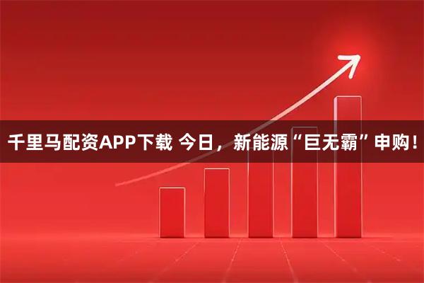 千里马配资APP下载 今日，新能源“巨无霸”申购！