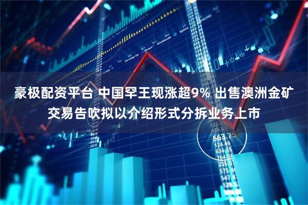豪极配资平台 中国罕王现涨超9% 出售澳洲金矿交易告吹拟以介绍形式分拆业务上市