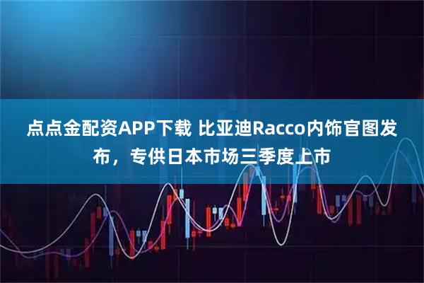 点点金配资APP下载 比亚迪Racco内饰官图发布，专供日本市场三季度上市