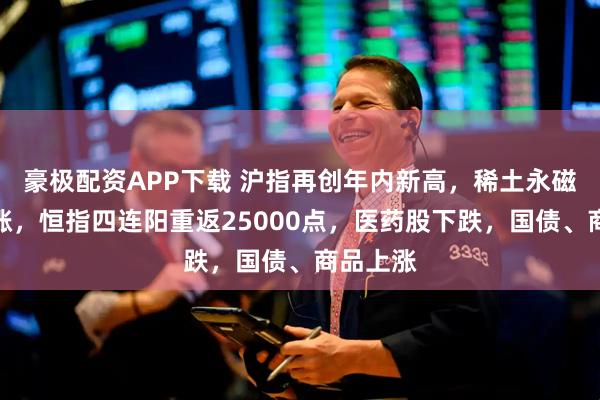 豪极配资APP下载 沪指再创年内新高，稀土永磁午后大涨，恒指四连阳重返25000点，医药股下跌，国债、商品上涨